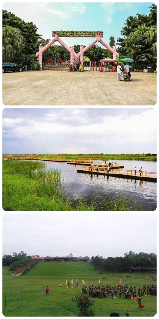 南海大濕地2.jpg