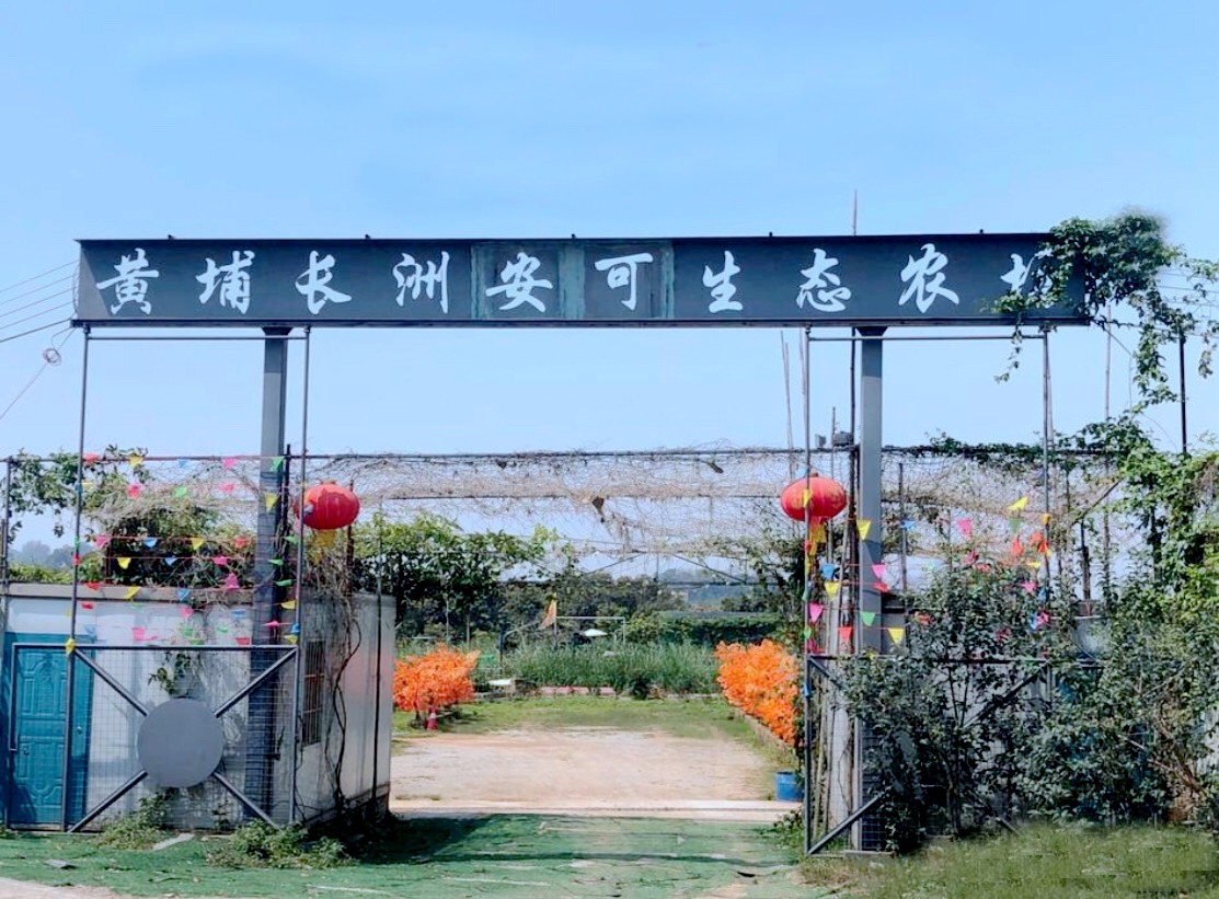 黃埔長洲安可生態(tài)農(nóng)場
