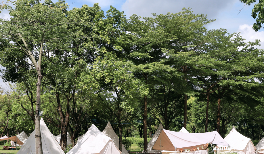 廣州團(tuán)建游戲-迷失叢林