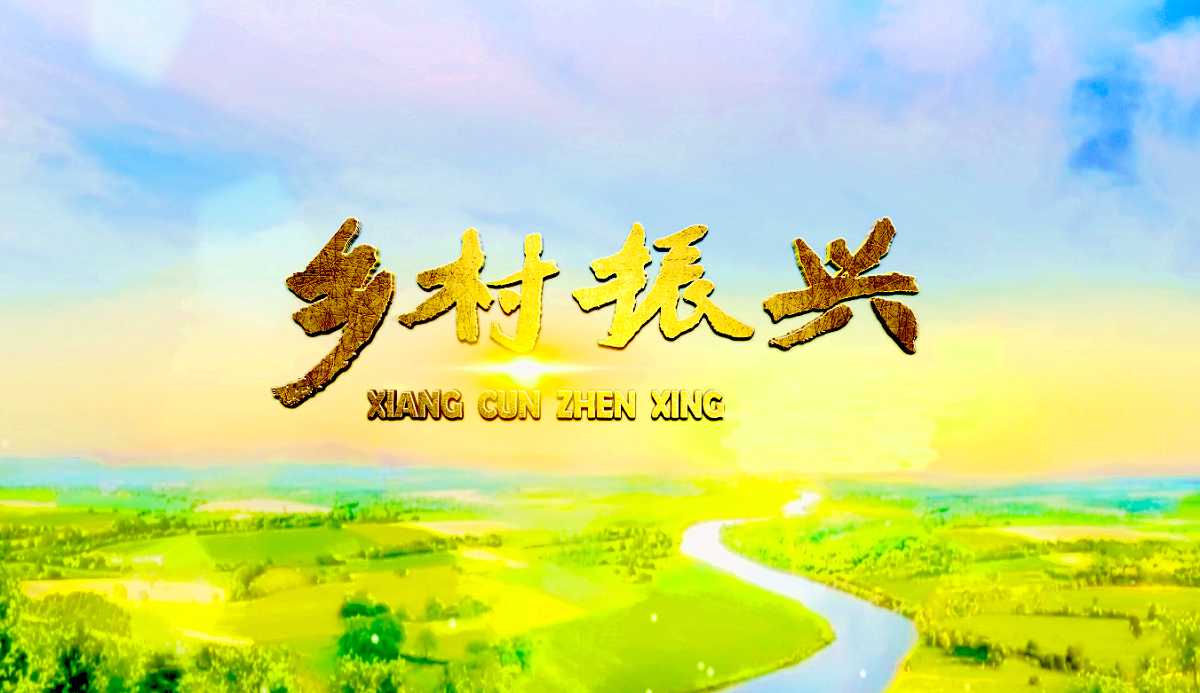 百年大變局下的中國鄉(xiāng)村振興