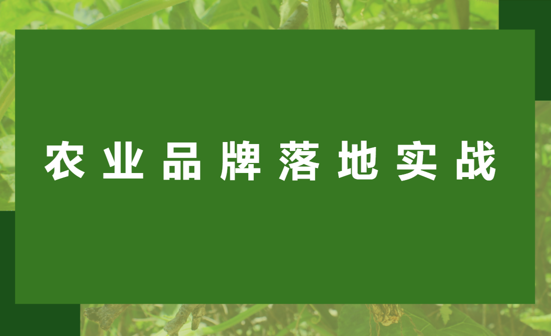 品牌賦能 產(chǎn)業(yè)升級