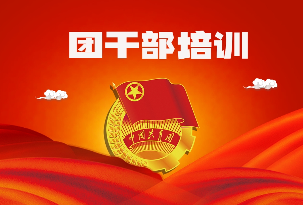 團(tuán)干部培訓(xùn)方案（定制版）