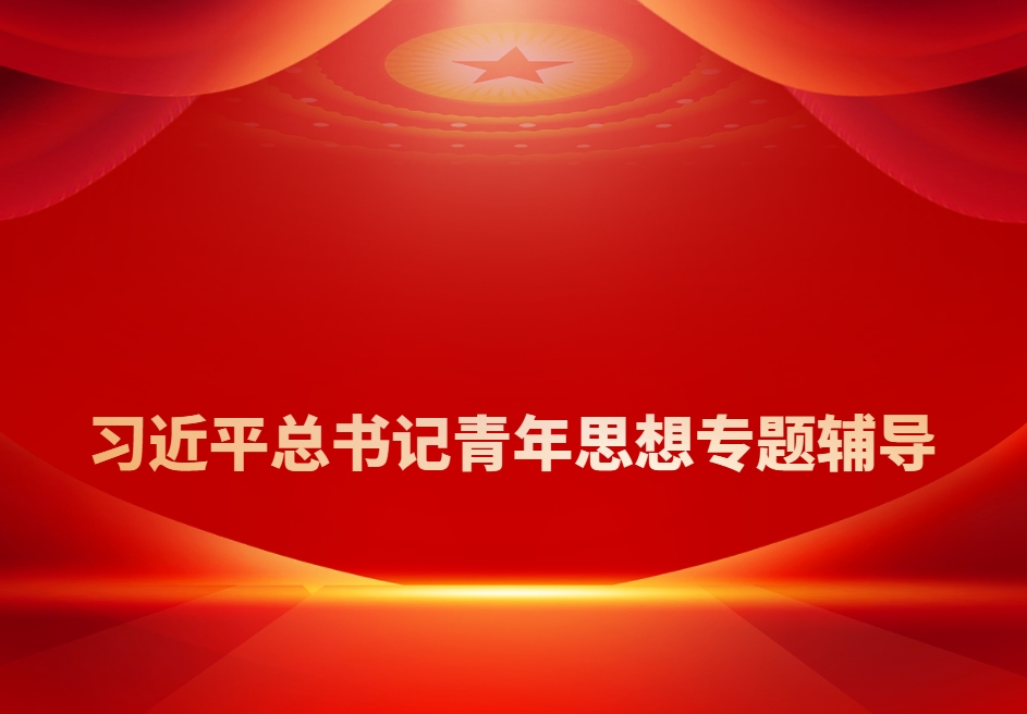 習(xí)近平總書(shū)記青年思想專題輔導(dǎo)