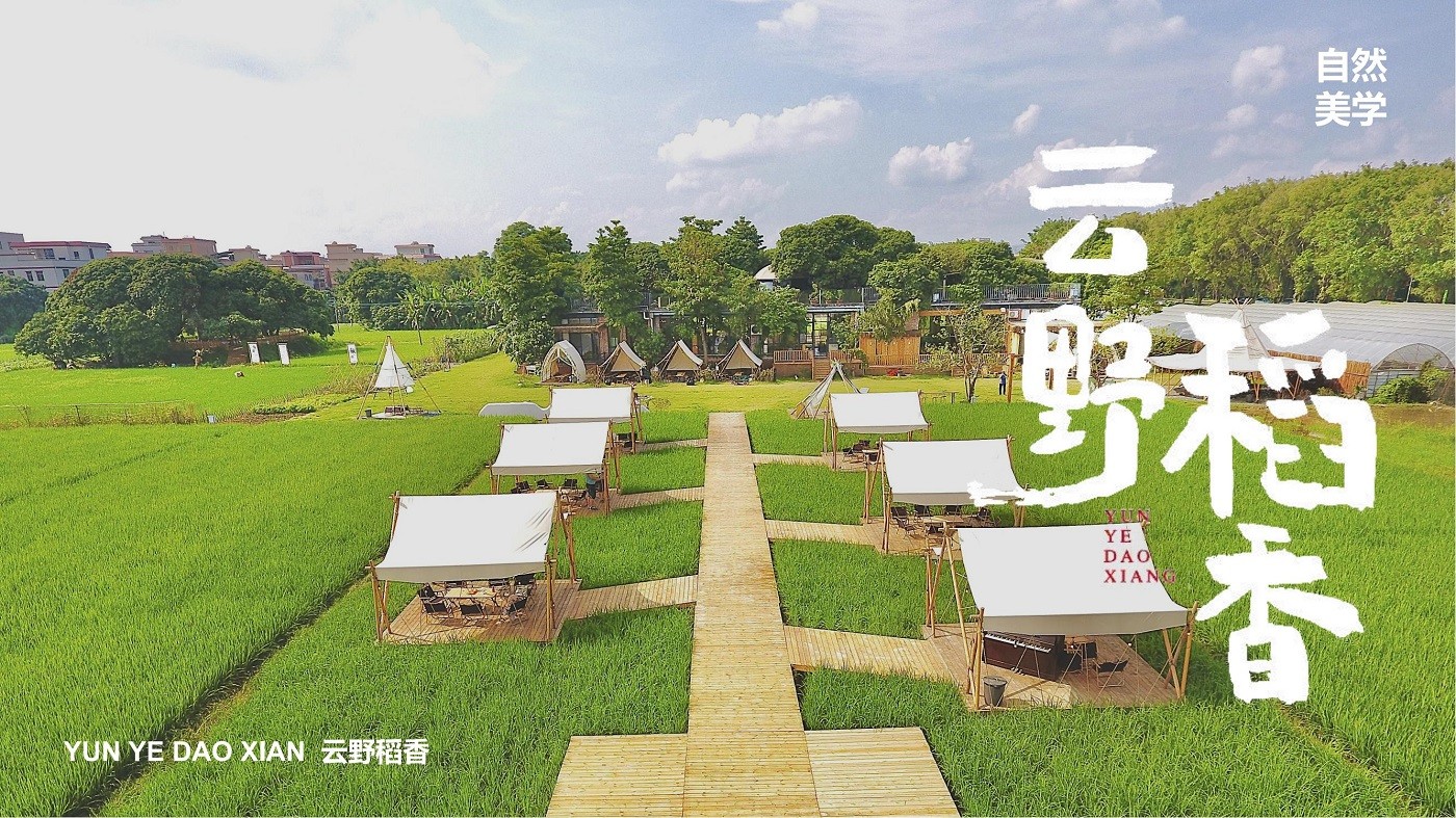 廣州云野稻香營地