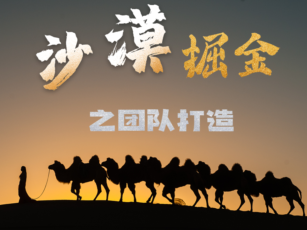 沙漠掘金之團隊打造