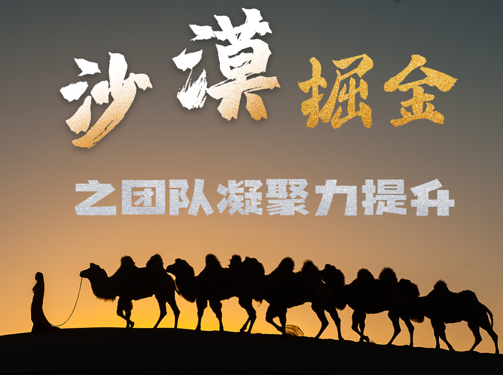 沙漠掘金之團(tuán)隊(duì)凝聚力提升