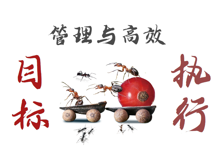 沙漠掘金（目標(biāo)管理與高效執(zhí)行）