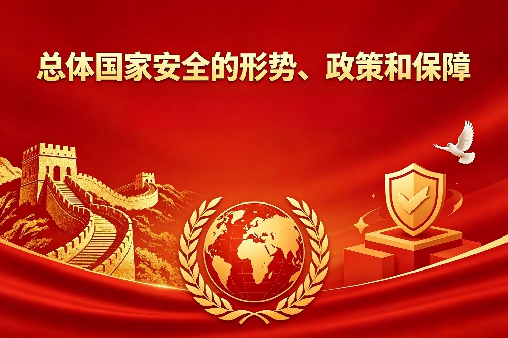 總體國(guó)家安全的形勢(shì)、政策和保障