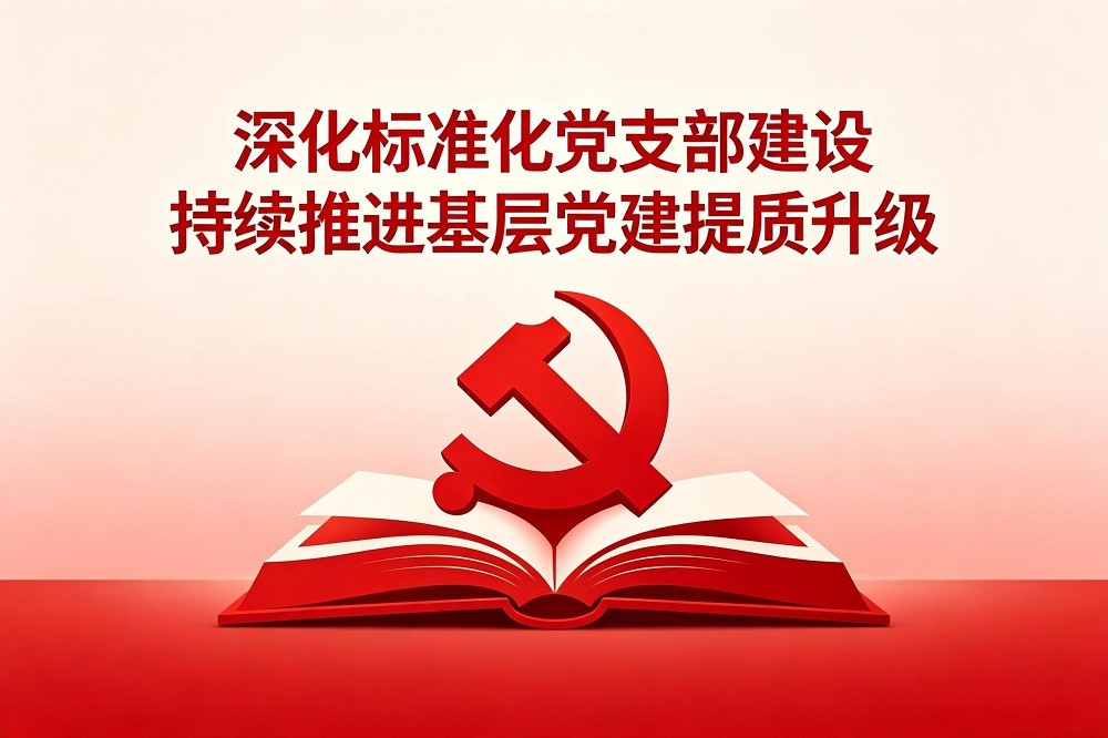 深化標(biāo)準(zhǔn)化黨支部建設(shè)，持續(xù)推進(jìn)基層黨建提質(zhì)升級(jí)