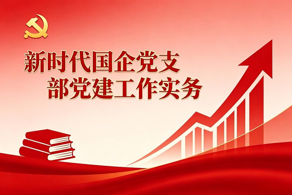 黨建實務(wù)：新時代國企黨支部黨建工作實務(wù)（行動學(xué)習(xí)法）