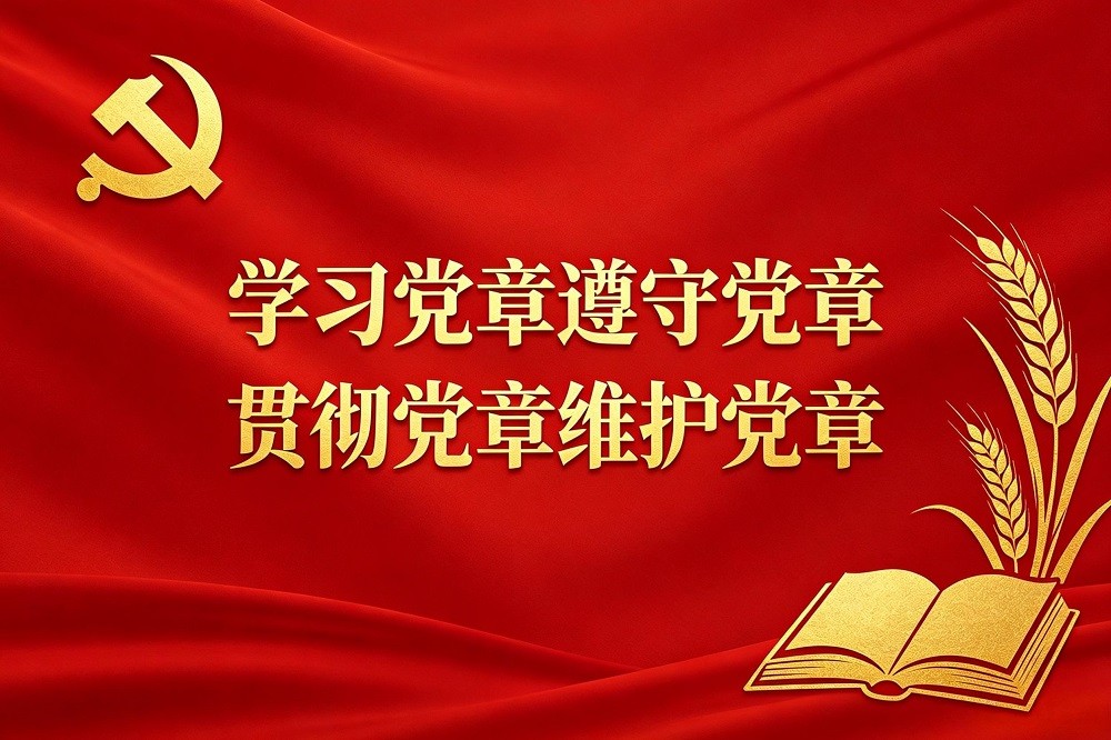 學(xué)習(xí)黨章遵守黨章貫徹黨章維護(hù)黨章