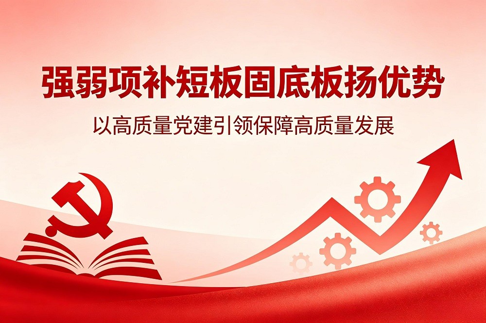 強(qiáng)弱項(xiàng)補(bǔ)短板固底板揚(yáng)優(yōu)勢(shì)以高質(zhì)量黨建引領(lǐng)保障高質(zhì)量發(fā)展——新時(shí)代企業(yè)黨建工作提升