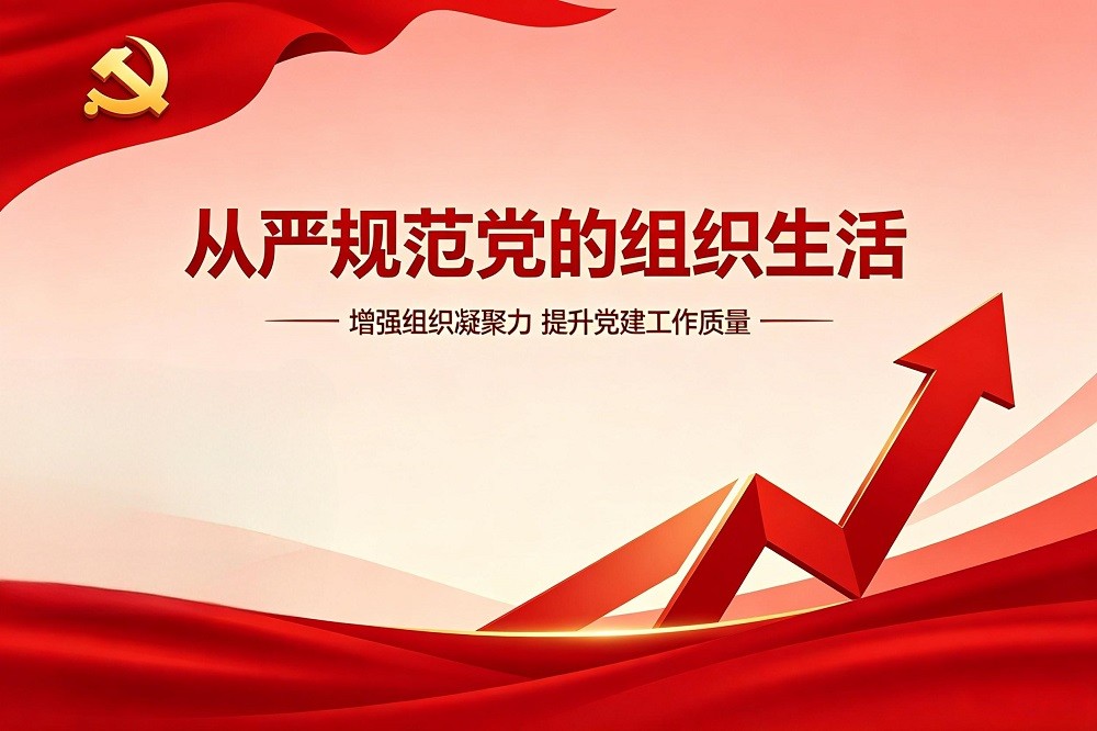 從嚴規(guī)范黨的組織生活